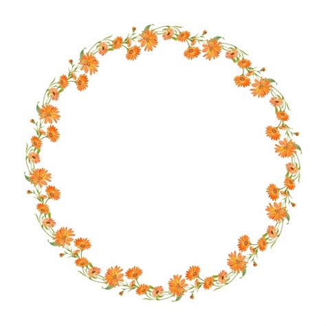 Premium Photo Round Frame Of Marigold Watercolor