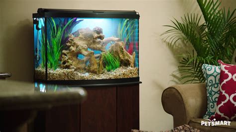 Top Fin 40 Gallon Hooded Aquarium Black - Aquarium Views