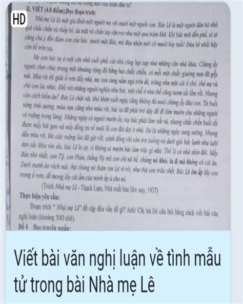 Viết bài văn nghị luận 500 chữ về TÌNH MẪU TỬ trong bài Nhà mẹ Lê