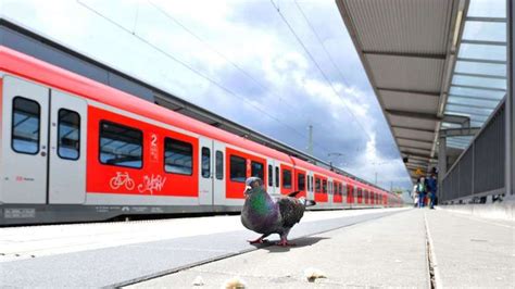 Sperrung der S Bahn Stammstrecke in München zu Pfingstferien Beginn