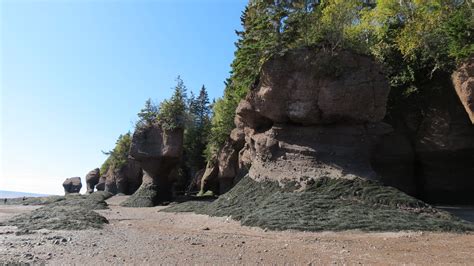 Parc Provincial Des Rochers Hopewell Hopewell Cape Nouve Flickr