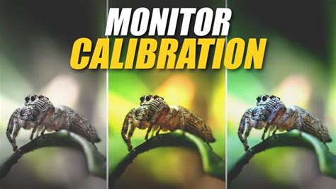 The Quick & Easy Way to Calibrate a Monitor for Photos with Precise Color (VIDE0) | Shutterbug