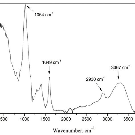 Topvision Agarose Ftir Spectra Download Scientific Diagram