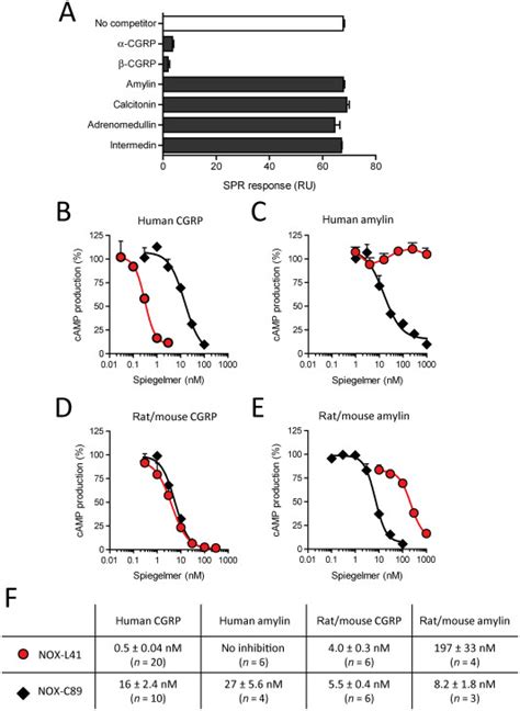 Nox L Selectively Binds To Cgrp And Inhibits Cgrp Induced Camp