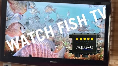 Connect Your Aqua Vu Underwater Camera To Your Fish House Tv Youtube