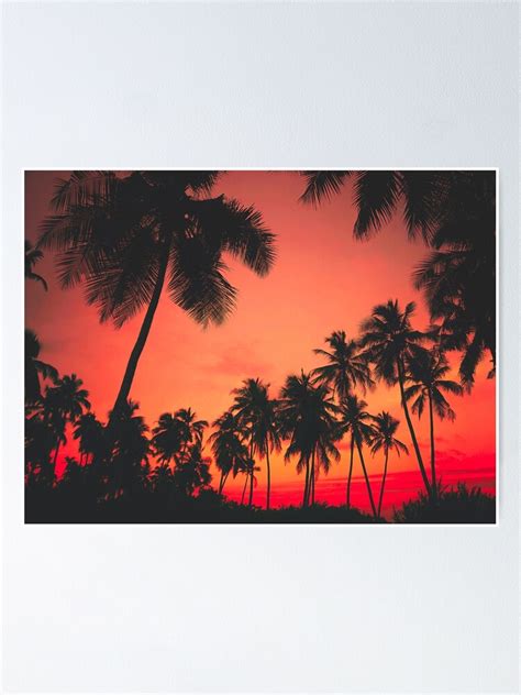 Palm Tree Sunsets Poster By MegaStar21 Redbubble