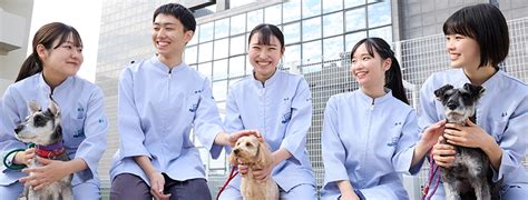 大阪ペピイ動物看護専門学校 専門学校を探すなら進学ナビ