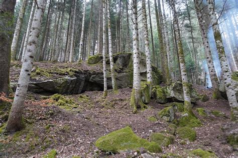 Trial Gp Vertolaye Chassez Le Naturel Il Revient Au Galop