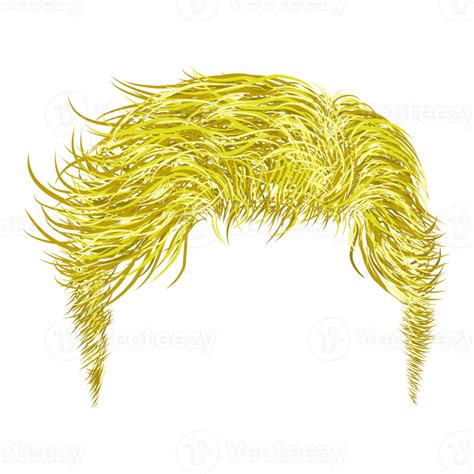 Male Hair Model Png