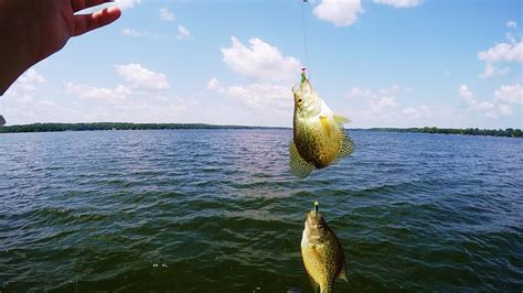 My Favorite Crappie Rig Setup How To Tie Double Jig Crappie Rig Youtube