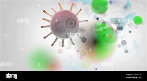 Virus Chromosome Microbiology Chromosomes Microbiologies Stock