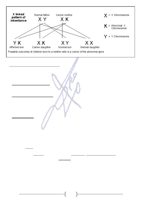 Sex Linked Inheritance Pdf Genetics Muhadharaty