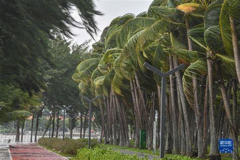 受台风“圆规”影响 海口多路段出现海水倒灌 搜狐大视野 搜狐新闻