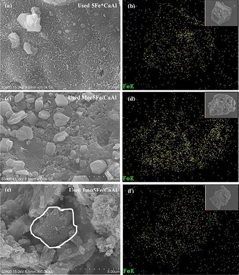 Sem Micrograph Right With Elemental Fe Map From Edx Left Of The