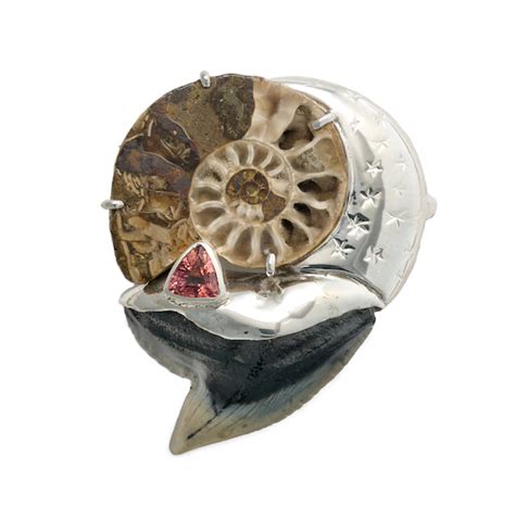 Ammonite Fossil Pin Elaina Designs