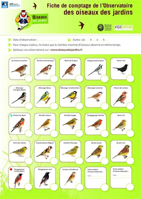 PDF Fiche De Comptage De LObservatoire Des Oiseaux Des Files