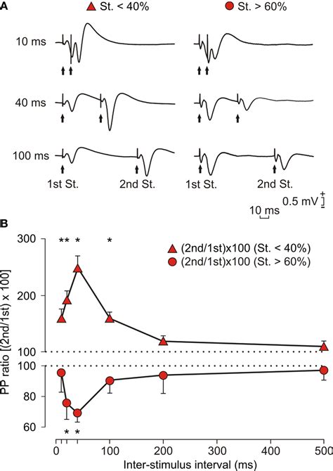 Effects Of Paired Pulse Stimulation Of The Ca3 Ca1 Synapse At Two