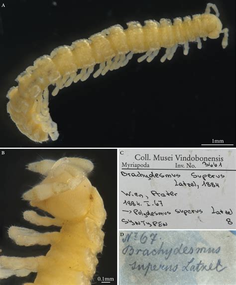 An Annotated Catalogue Of Selected Historical Type Specimens Including