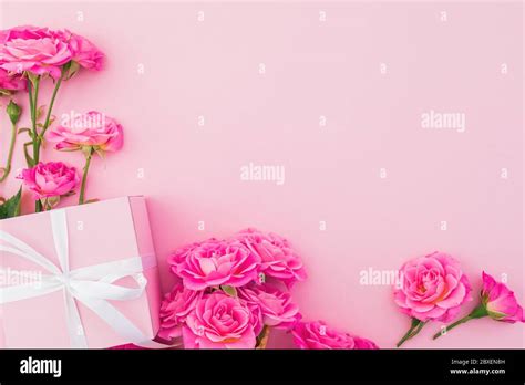 Floral frame of pink roses flowers and gift box on pink background ...