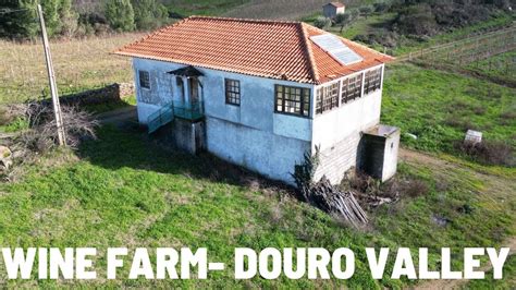 Quinta Do Carrasqueiro Alij Douro Valley Youtube