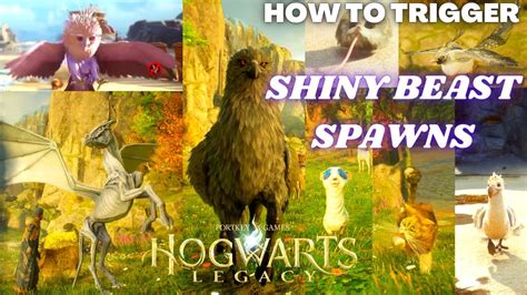 Hogwarts Legacy How To Spawn Shiny Beasts How To Trigger A Shiny