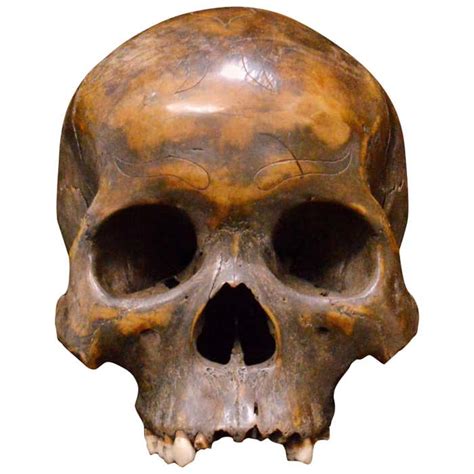 Striking Dayak Human Trophee Skull ‘ndaokus From Borneo Indonesia At