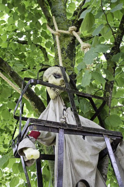 Afraid Gray Langur Stock Photos Pictures And Royalty Free Images Istock