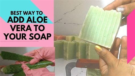 Lets Make Aloe Vera Soap How To Add Aloe Vera To Your Cold Process