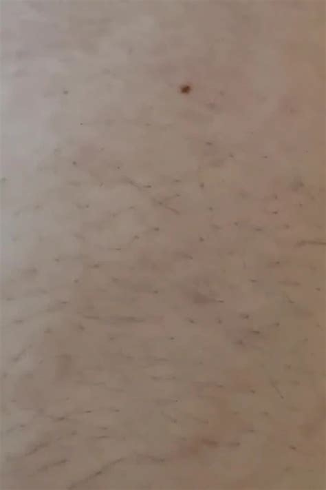 Handjob Gay Amateur Amateur Porn Feat RegularForehead By FapHouse XHamster