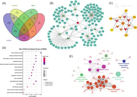 Lncrna X Inactive Specific Transcript Is A Potential Biomarker Related