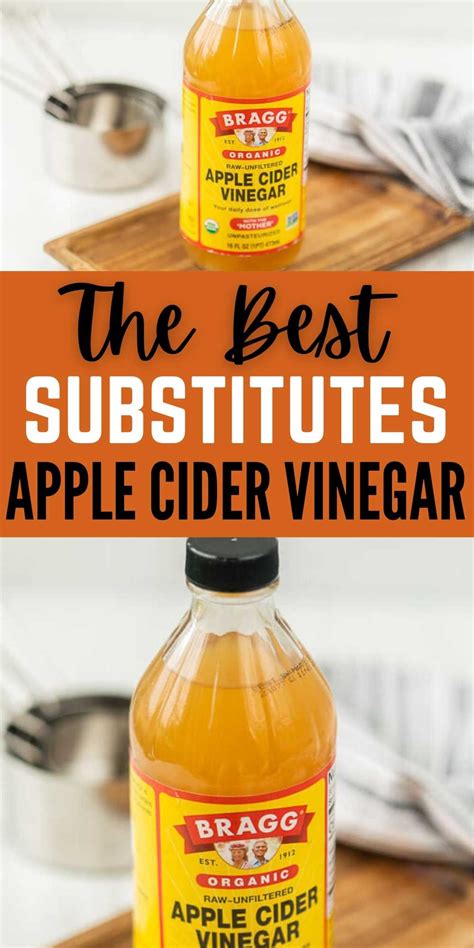 The Best Apple Cider Vinegar Substitutes Eating On A Dime