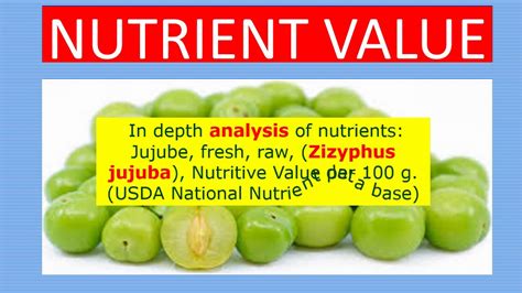 JUJUBE FRUIT NUTRITION FACTS AND HEALTH BENEFITS YouTube