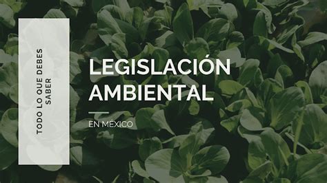 LEGISLACIÓN AMBIENTAL