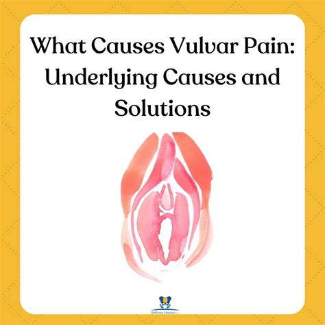 What Causes Vulvar Pain: Underlying Causes and Solutions — Bethany's ...