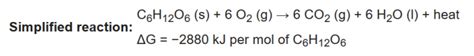 Balanced Chemical Equation For Cellular Respiration Meaning And Function Science Trends