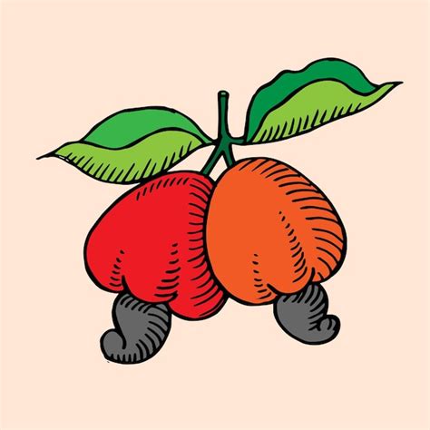 Fruta De Caju Ilustra O De Desenho De M O De Galho Vetor Premium