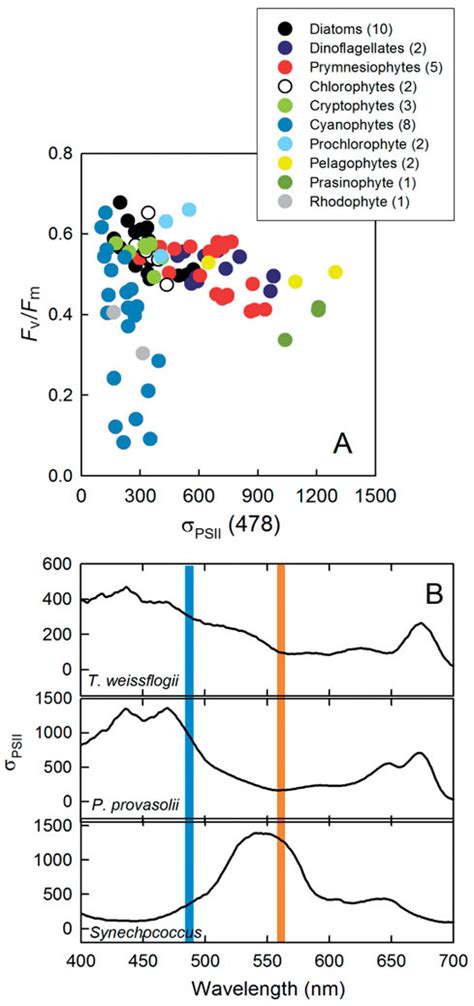 A Values Of The Maximum Psii Photochemical Efficiency F V F M