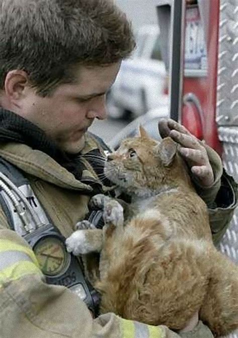 Firefighter Saves Cats Life