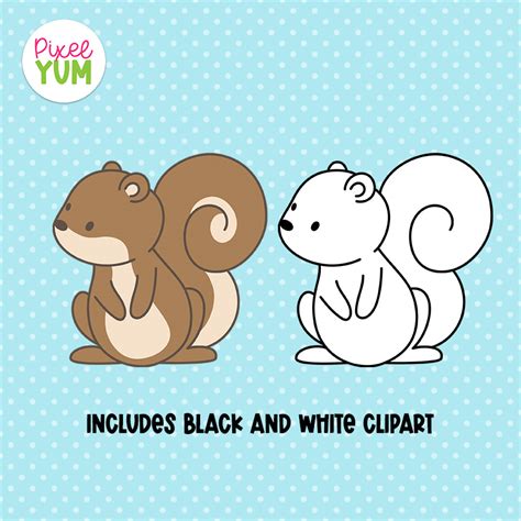 Squirrel Clipart Images Squirrel Clipart Transparent PNG Free Clip