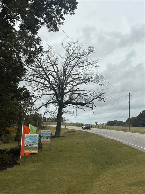 bay tree apartments fuquay varina 7