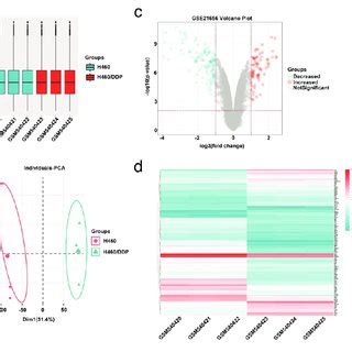 Identification Of Differentially Expressed Genes DEGs Associated With