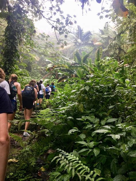 Hiking Mount Scenery in Saba - Scubaverse