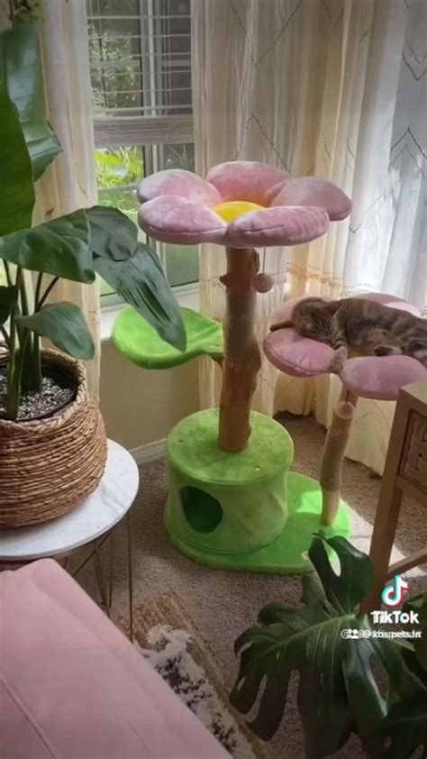 Aesthetic Cat Tree Cat Tree Cat Room Cat Furniture