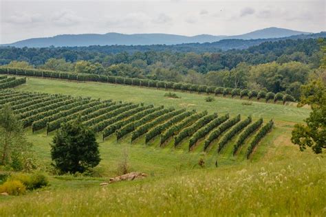 10 Virginia Wineries to Visit in 2023 — Best Wineries in Virginia