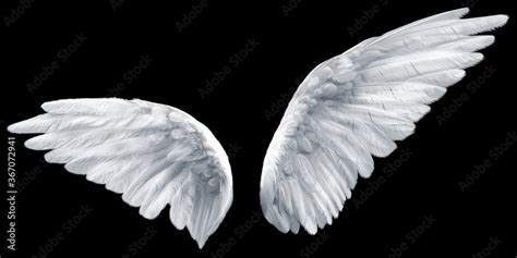 wings Stock Photo | Adobe Stock