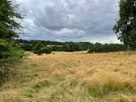 Grazing South Of Ashe Park Copse Mr Ignavy Geograph Britain And