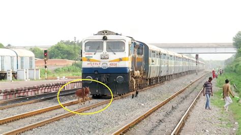 traijn : r/TrainHitDonkey