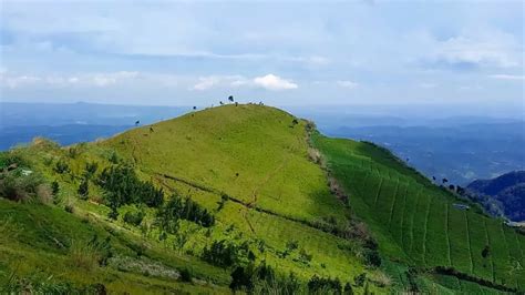 6 Fakta Menarik Gunung Sipandu Alternatif Pendakian Singkat Di Daratan