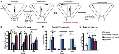 Frontiers Structural And Functional Organization Of The Midline And