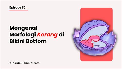 Episode Mengenal Morfologi Kerang Di Bikini Bottom Teman Teman Bulu Burung